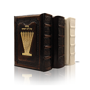 ����� ���� - ������ ��� ���� ����� �� ����� ������ "�����"