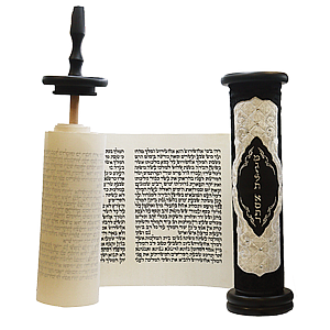 ��� ����� ���� ����� + ��� ���� | 28 �����