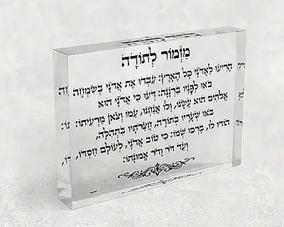 2381 � ���� ������ �� ���� ����� �����