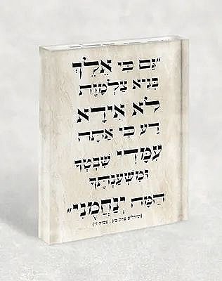 2837 � ���� ������ �� ����