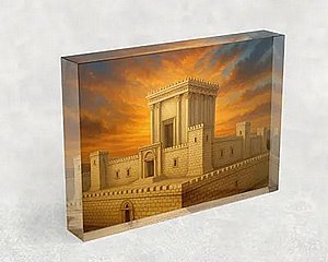 3007 � ���� ������ �� ���� �� ��� �����