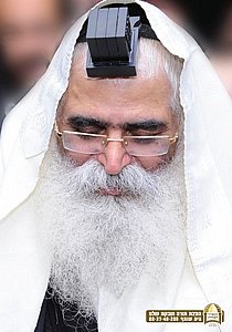 ���� ��� ���� 7