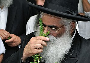 ���� ��� ���� 18